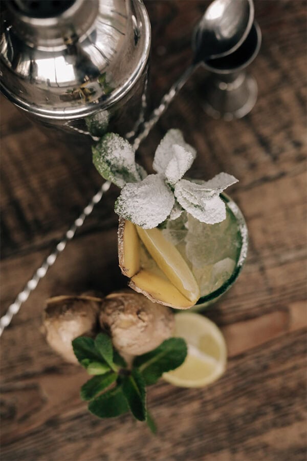 Bionina Dr Ginger Beer – Image 4