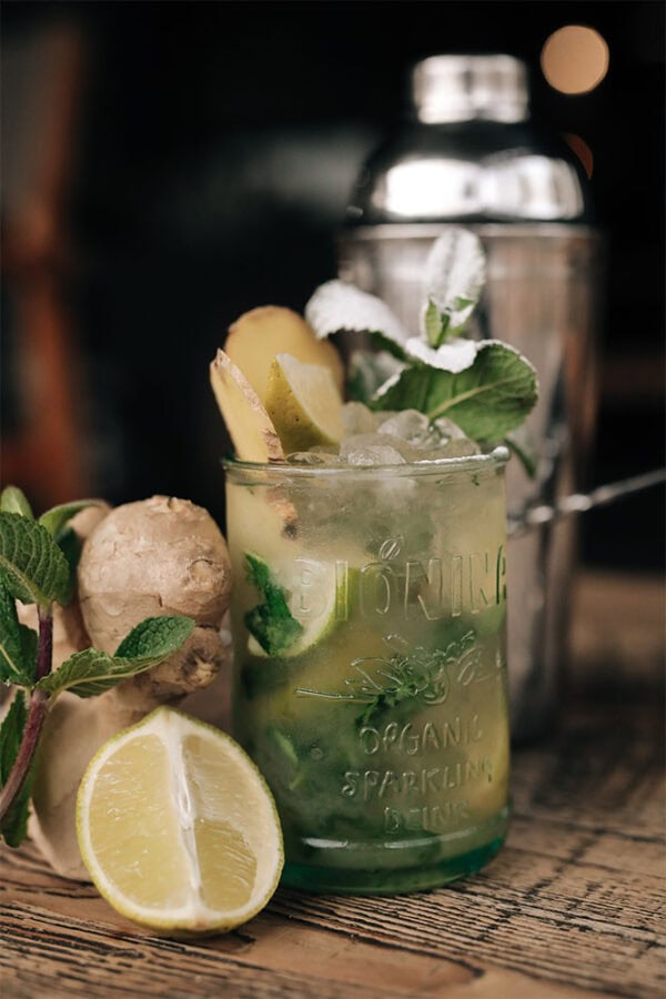 Bionina Dr Ginger Beer – Image 5